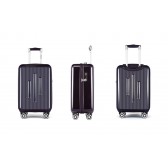 Business Trolley Case